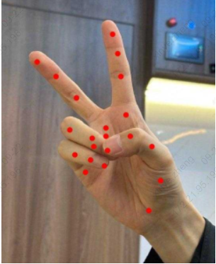 _images/sample_detect_keypoints.png