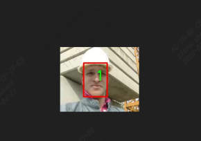 _images/sample_tracking_output.png