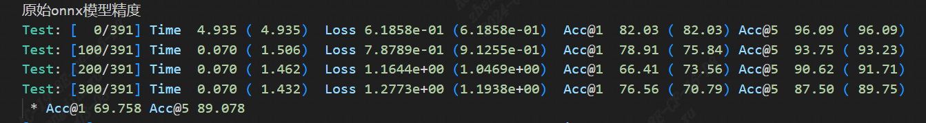 _images/ori_onnx_acc.png
