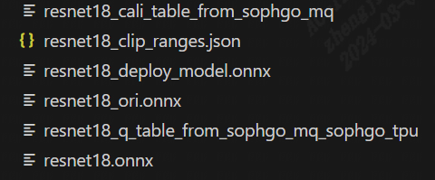 _images/r18_qat_output_dir.png