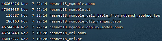 _images/r18_qat_output_dir.png